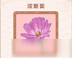 花店物语波斯菊图鉴