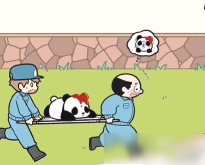 回来把红瓶拖到熊猫身上饲养员以为熊猫受伤了,满头是血,急忙担架抬走