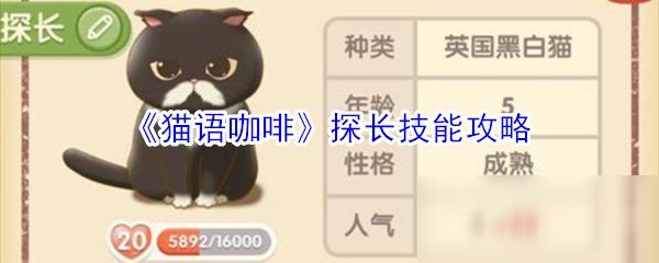 《猫语咖啡》探长技能攻略