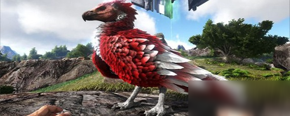 <a id='link_pop' class='keyword-tag' href='https://www.9game.cn/fzscjh/'>方舟生存进化手游</a>老鹰怎么叼龙