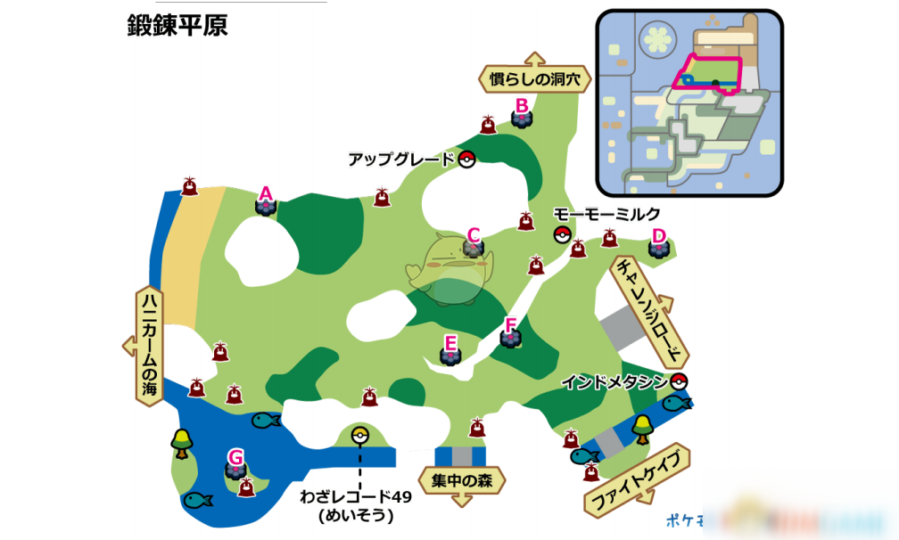 《寶可夢：劍/盾》鍛煉平原全巢穴信息一覽