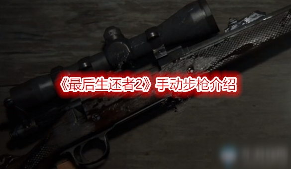 《最后生还者2》手动步枪介绍