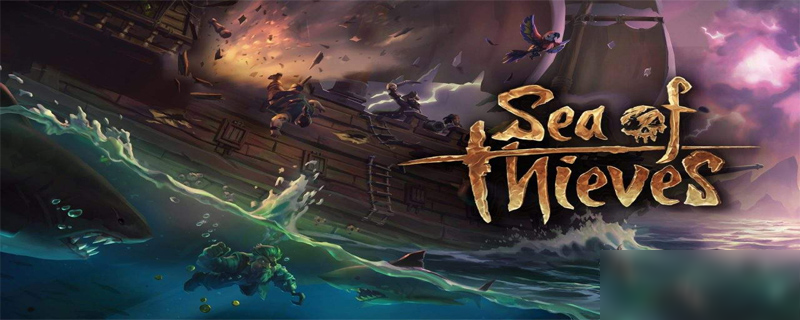 《盗贼之海》最多几个人一起玩 多人游戏组队介绍