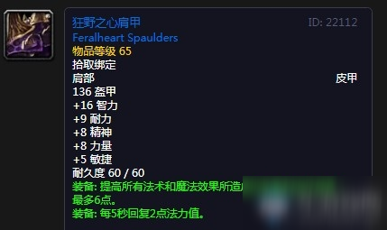 《魔兽世界怀旧服》狂野之心肩甲介绍