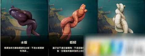 盜賊之海有什么魚餌 魚餌種類及獲取方式介紹