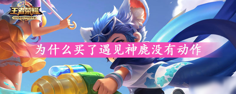 为什么买了遇见神鹿没有动作