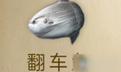 《明日之后》翻車魚獲得方法介紹