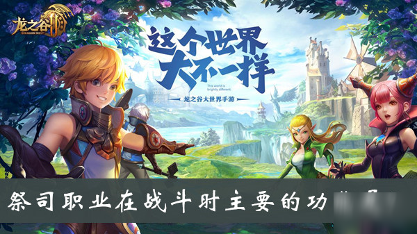 祭司职业在战斗时主要的功能是答案