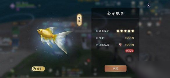 天涯明月刀手游釣魚大賽怎么玩 釣魚大賽玩法詳解