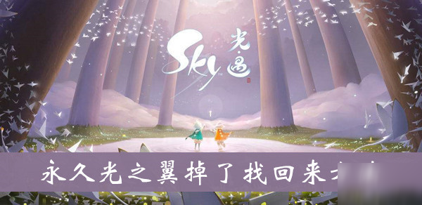 《sky光遇》永久光之翼掉了找回方法介紹