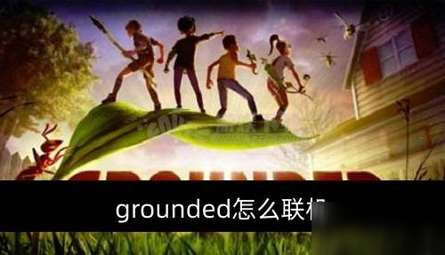 grounded怎么联机 grounded联机方式是什么
