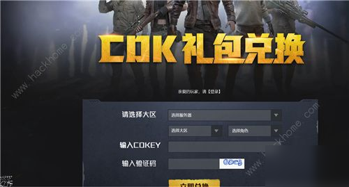 和平精英特斯拉兑换码怎么用 CDK输入位置介绍[多图]