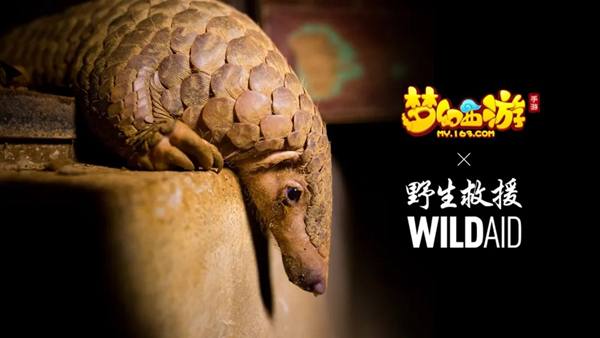 《梦幻西游》手游WildAid打造野生动物保护