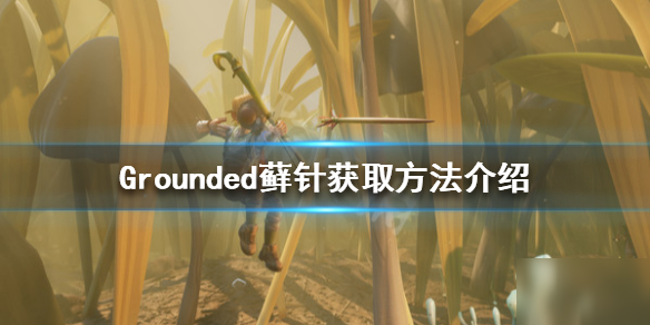 Grounded蘚針獲取攻略 禁閉求生攻略