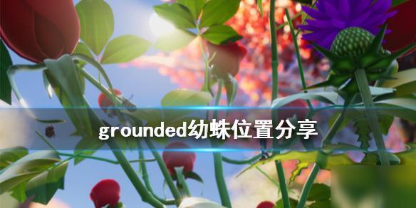 禁閉求生小蜘蛛位置介紹 grounded游戲攻略