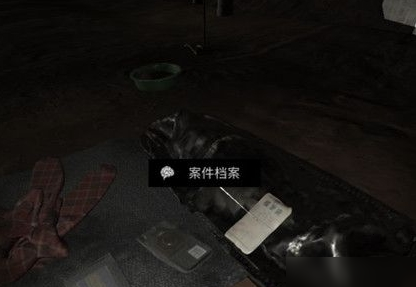 《孙美琪疑案》DLC张红君王平线索怎么得 获得方法介绍