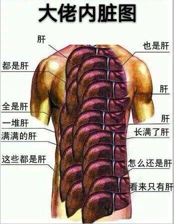 《風(fēng)之大冒險》游戲“肝帝”等級測試