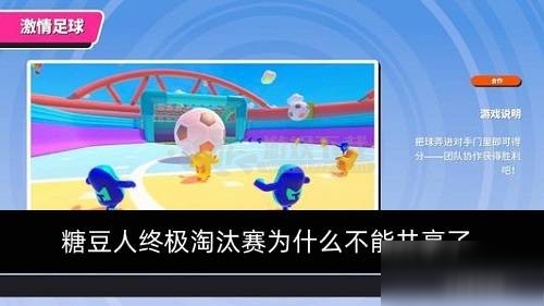 糖豆人终极淘汰赛为什么不能共享了