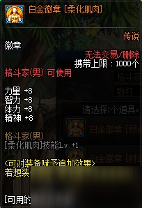 《DNF》武極白金徽章推薦