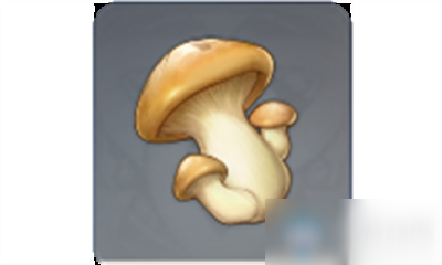 《原神》蘑菇介绍