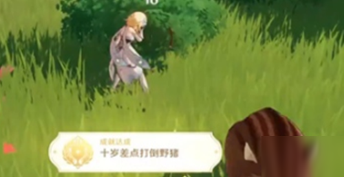 原神如何完成十岁差点打倒野猪成就_十岁差点打倒野猪隐藏成就完成攻略