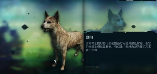 孤島驚魂3澳洲犬在哪