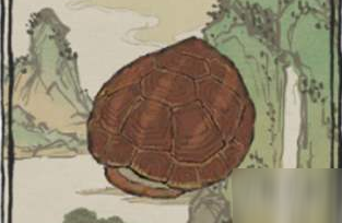 江南百景图龟壳获取攻略