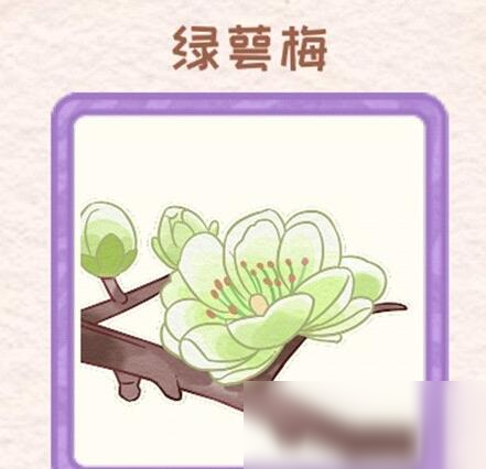 《花店物語(yǔ)》綠萼梅獲取方法