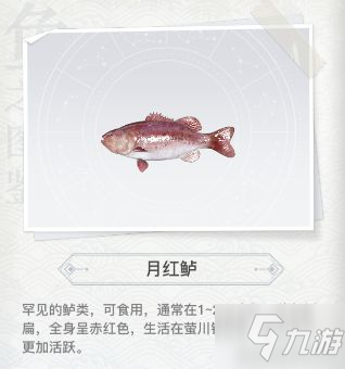 天諭手游怎么釣魚(yú) 看完秒變釣魚(yú)高手