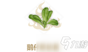 妄想山海鵝仔菜怎么做？鵝仔菜配方制作方法