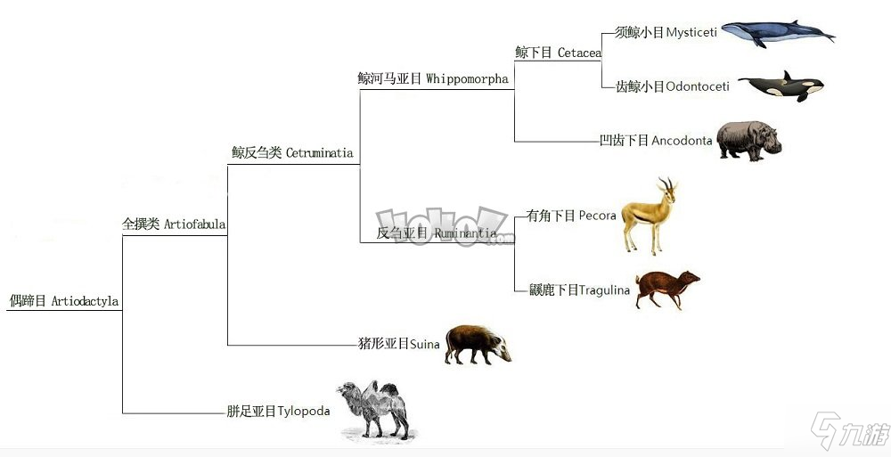 明日方舟圖耶原型是什么 圖耶背景考據(jù)