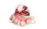 《妄想山海》毒蛇鱼脍食谱