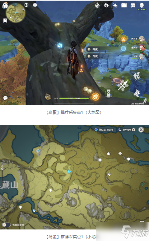 《原神》鳥(niǎo)蛋采集點(diǎn)