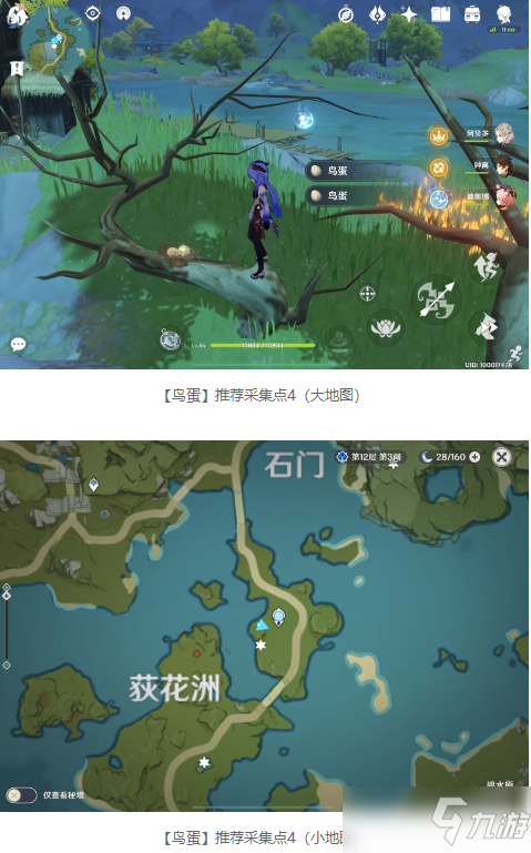 《原神》鳥(niǎo)蛋采集點(diǎn)