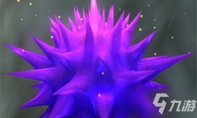 《魔兽世界》宠物明亮孢子获取攻略
