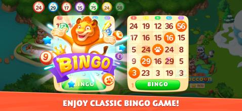 bingowild加速器