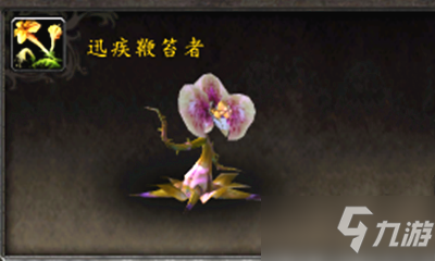 《魔獸世界》寵物迅疾鞭笞者獲取攻略