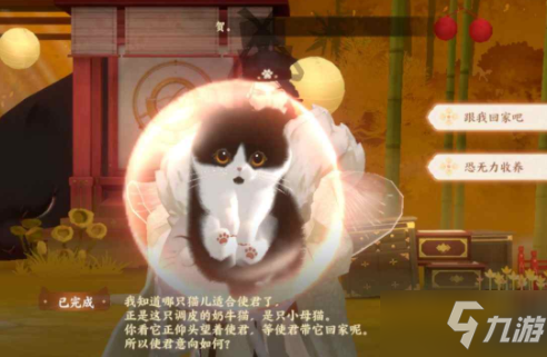 《忘川风华录》猫咪问答怎么选择 猫咪问答答案攻略