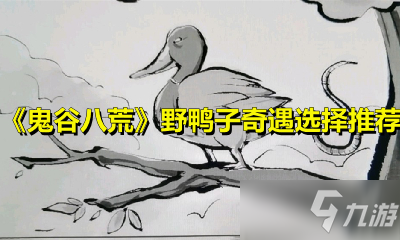 《鬼谷八荒》野鸭子奇遇选择推荐