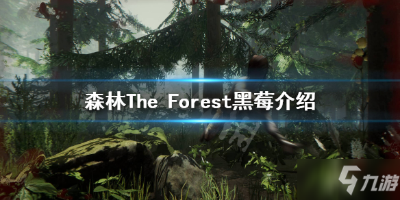 《森林》黑莓怎么獲得？The Forest黑莓介紹